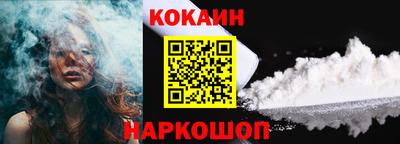 индика Гатчина