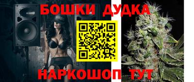индика Гатчина