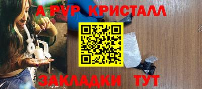 индика Гатчина