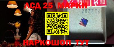 индика Гатчина