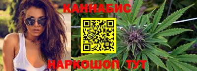 индика Гатчина