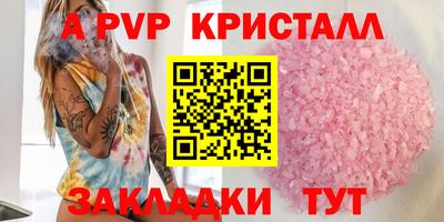 индика Гатчина