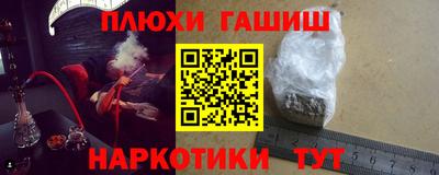 индика Гатчина