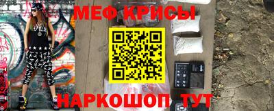 индика Гатчина