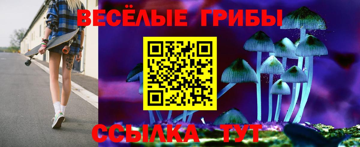 Галлюциногенные грибы GOLDEN TEACHER  Вход с VPN  Губкин 