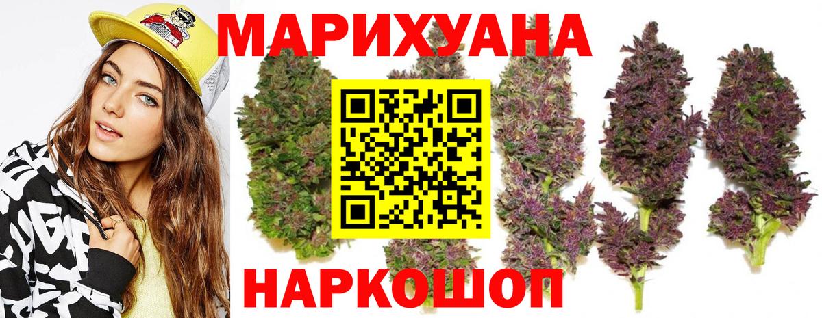 Канабис сатива Губкин