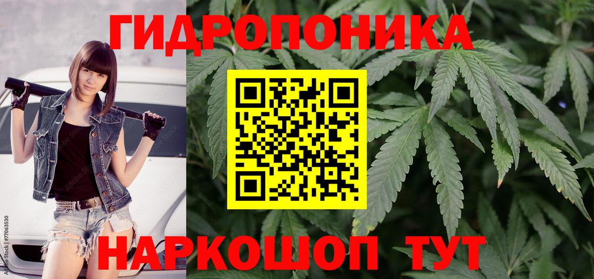 Канабис конопля  Вход с VPN  Шишки марихуана гибрид  Губкин 